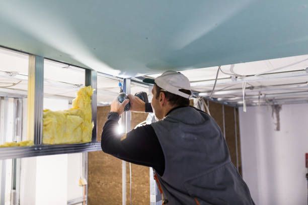 Best Spray Foam Insulation  in Dellwood, MN