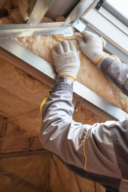 Best Spray Foam Insulation  in Dellwood, MN