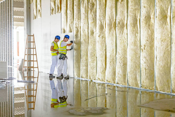 Best Wall Insulation Contractor  in Dellwood, MN